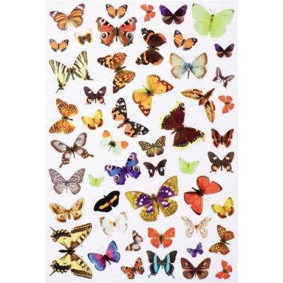 Sticker set, butterflies, about 300 pcs
