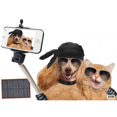 Table mat 530x400mm Cat-Dog-Selfie / Fox multiplication table, Prolexplast
