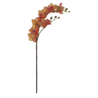 Artificial flower ORCHID x2 / warm brown73cm