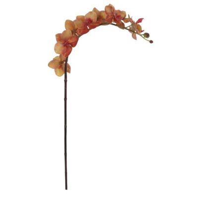 Artificial flower ORCHID / warm brown 77cm
