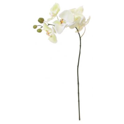 Artificial flower ORCHID / light green 72cm