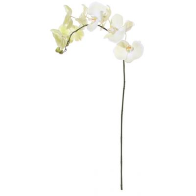 Artificial flower ORCHID / light green 92cm