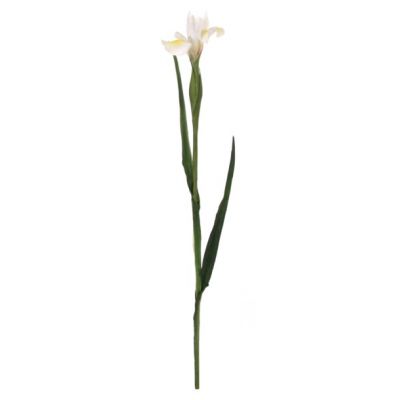 Artificial flower IIRIS / white 70cm