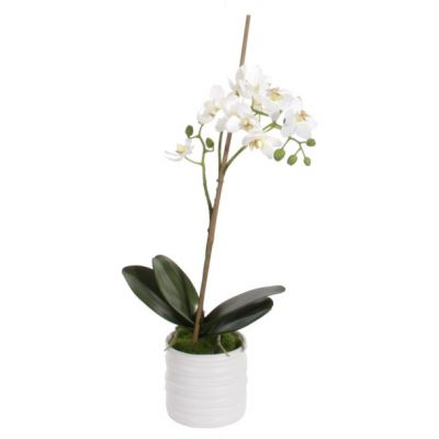 Artificial flower ORCHID x1 in pot / white 55cm
