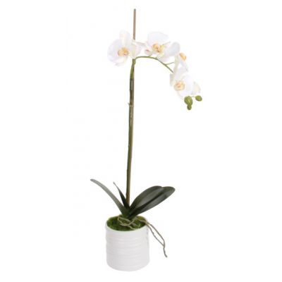 Artificial flower ORCHID x1 in pot / yellow-pink 65cm