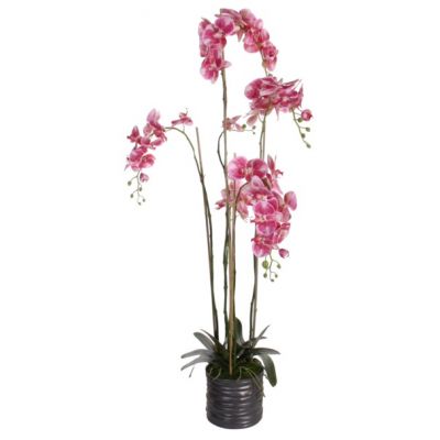 Artificial flower ORCHID x5 pot / red flower 150cm