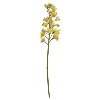 Artificial flower SYMBIDIUM Mini / green 67cm