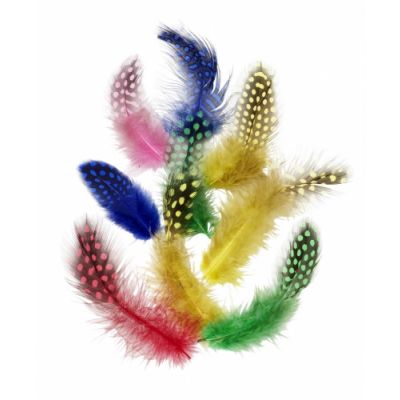 Guinea fowl feathers for handicrafts, 100 pcs