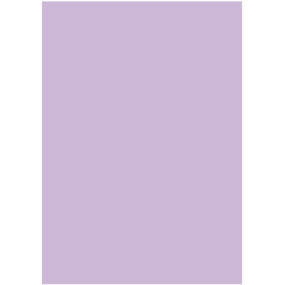 Coloured card 50x70cm light violet