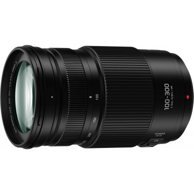 Panasonic Lumix G Vario 100-300mm f/4.0-5.6 II POWER O.I.S. objektiiv