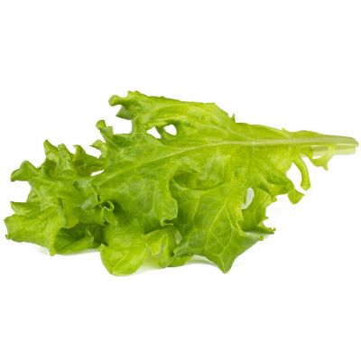 Click & Grow Smart Refill Tammelehe salat 3tk