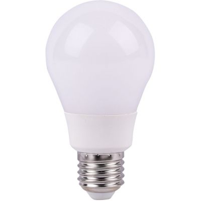 Omega LED lamp E27 12W 4200K (43029)