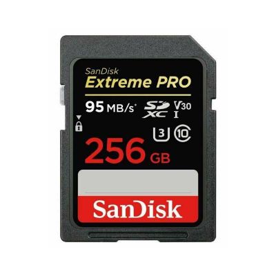 Mälukaart Sandisk SD Ext Pro 256GB 200/140 MB/s Class10 / V30 / UHS-I / U3