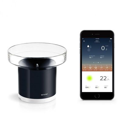 Netatmo Rain Gauge