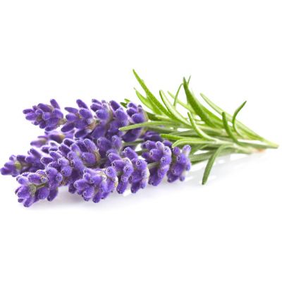Click & Grow Plant Pod Lavendel 9tk