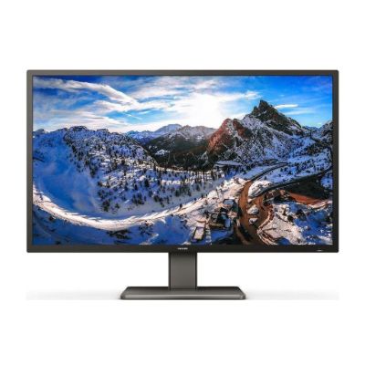 Philips P-line 439P1 - LED monitor - 43" (42.51" viewable) - 3840 x 2160 4K @ 60 Hz - VA - 400 cd / m - 4000:1 - DisplayHDR 400 - 4 ms - 3xHDMI, DisplayPort, USB-C - speakers - black texture