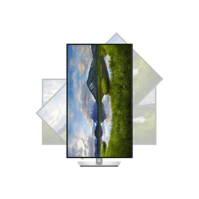 Dell P3225QE | 32 " | IPS | 4K UHD | 16:9 | 100 Hz | 5 ms | 3840 x 2160 pixels | 350 cd/m | HDMI ports quantity 1