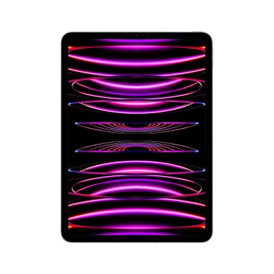 Apple iPad Pro 11" 128GB WiFi + 5G 2022 (4th gen), space gray