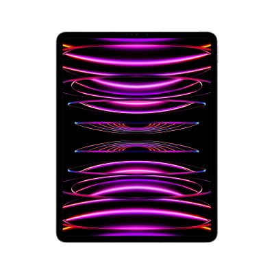 Apple iPad Pro 12,9" 128GB WiFi + 5G 2022 (6th gen), space gray