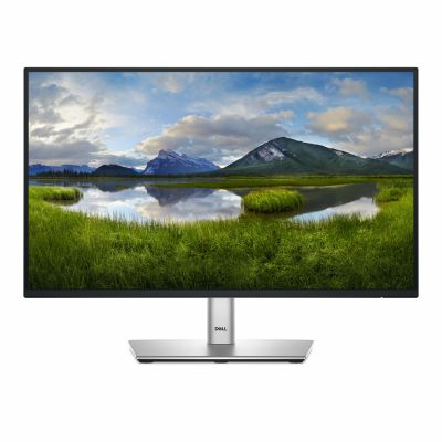 Dell 22 Monitor - P2225H, 54.6cm (21.5")