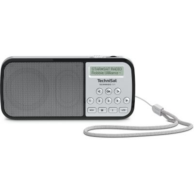 Technisat TechniRadio RDR silver