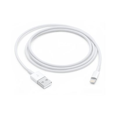 USB Cable Lightning Apple Charge & Sync Cable - 1 meter USB-A