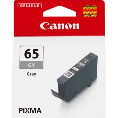 Tint Canon CLI-65GY Grey/hall 12.6ml PIXMA PRO-200