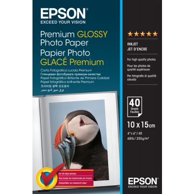 Paper Epson Premium Glossy Paper 10x15cm 40 sheets 255gr / m2 S042153