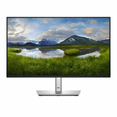 Dell 24 Monitor - P2425H, 60.5cm (23.8")