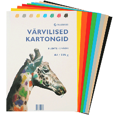 Värviline kartong A4 8lehte pakis, 225g