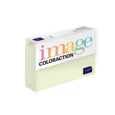 Copy paper A4 80g pale green (Jungle) 500sh/package