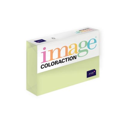 Copy paper A4 80g Forest/ pale green no. 65 500sh/package