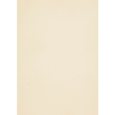 K0005982_1_Disainpaber_Metallics_White_Gold_A450l