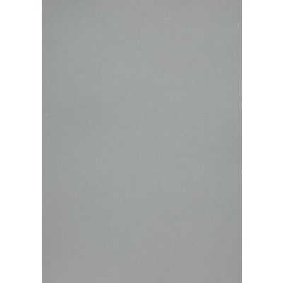 K0005983_1_Disainpaber_Metallics_Galvanised__A450l