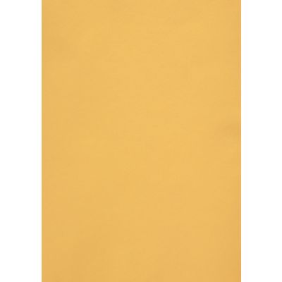 K0005996_1_Disainpaber_labipaistev_Gold_Curious_A4_100g_50lehte_pakis