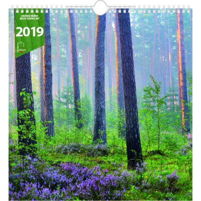 Seinakalender- Looduse värvid ART (330x345mm), kahe spiraaliga 2025a.