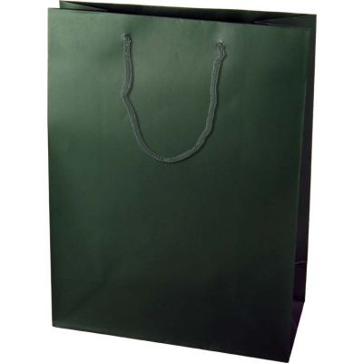 Gift bag COLOR dark green 36x12x41