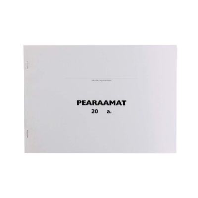 Pearaamat deebet/kreedit (100lehte)