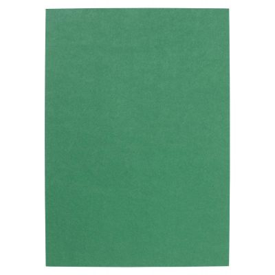 Cardboard A3 180g 20 sheets, green