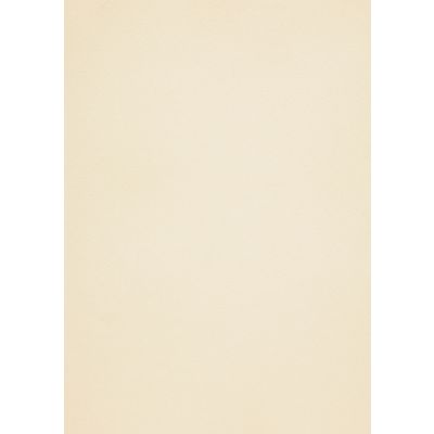Design paper Curious Metallics White Gold A4 250g 10 sheets per pack