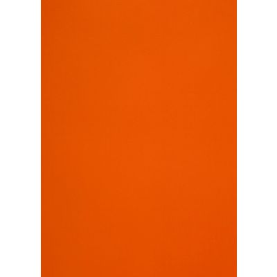 Design paper Curious Skin Orange A4 270g 10 sheets per pack