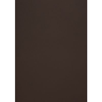 Disainpaber Curious Skin Mocha A4 270g 10 lehte pakis