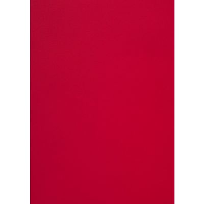 Disainpaber Curious Skin Red A4 270g 10 lehte pakis