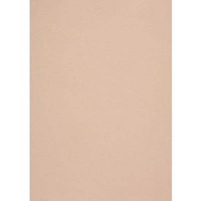 Design paper Curious Metallics Nude A4 / 50l 120g