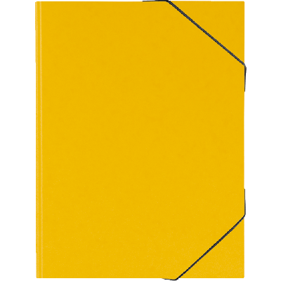 Folder Fact! plus A3 yellow carton