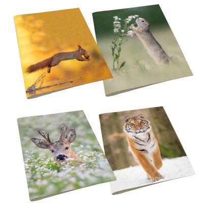 Exercise book A5 36sh. ruled Animals, Hans van Duijan, BP