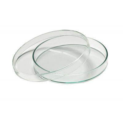 Petri dish 94 mm, plastic, 28 pcs