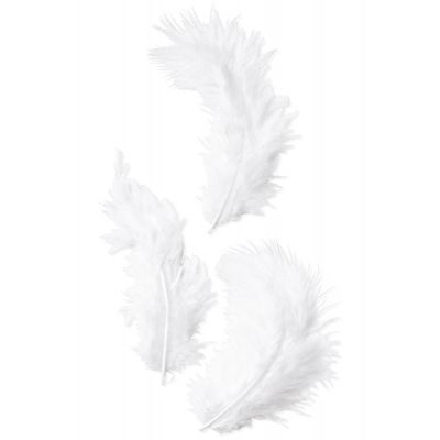 Handmade feathers, length 8 -10 cm, 20g, about 100 pcs, white