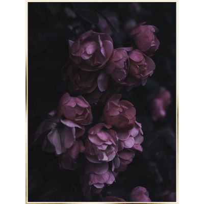 Wall picture ArtBox Dark 50x 70cm