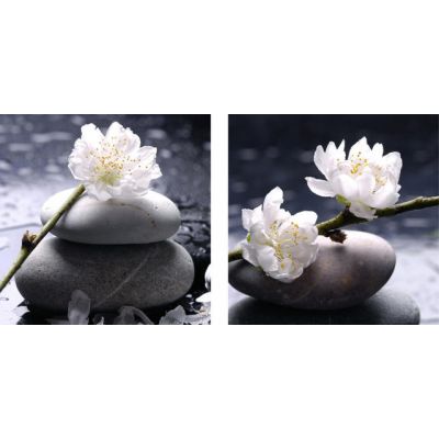 Wall picture Canvas 40x40x1.8cm/ stone and flower